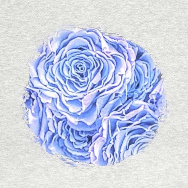 Light Blue Rose by Klssaginaw
